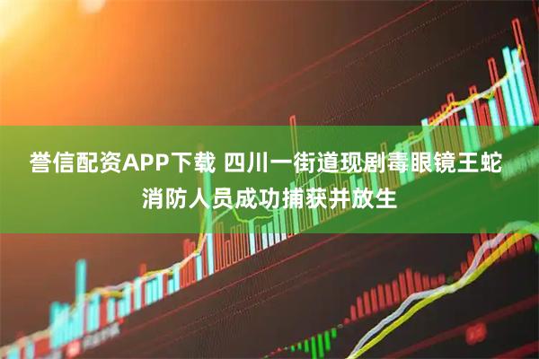 誉信配资APP下载 四川一街道现剧毒眼镜王蛇 消防人员成功捕获并放生