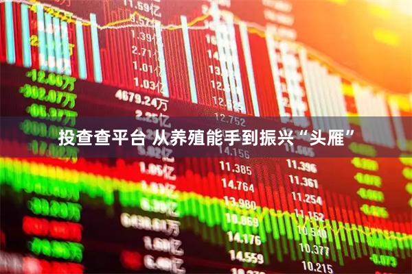 投查查平台 从养殖能手到振兴“头雁”