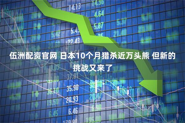 伍洲配资官网 日本10个月猎杀近万头熊 但新的挑战又来了