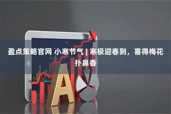 盈点策略官网 小寒节气 | 寒极迎春到，喜得梅花扑鼻香