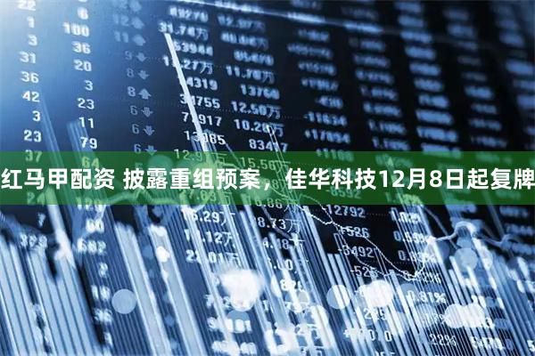 红马甲配资 披露重组预案，佳华科技12月8日起复牌